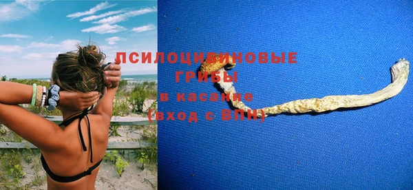 гидра Белоозёрский