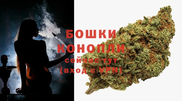 гидра Белоозёрский