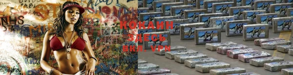 гидра Белоозёрский