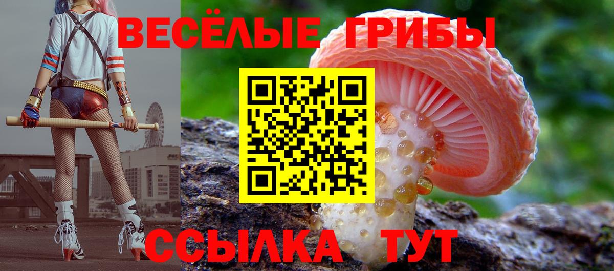 Псилоцибиновые грибы Cubensis  Вход с VPN  Псилоцибиновые грибы GOLDEN TEACHER  Бутурлиновка 
